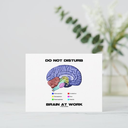 Brain op het werk niet storen (anatomische Humor) Briefkaart (Staand voorkant)