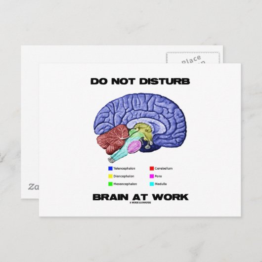 Brain op het werk niet storen (anatomische Humor) Briefkaart (Voorkant / Achterkant)