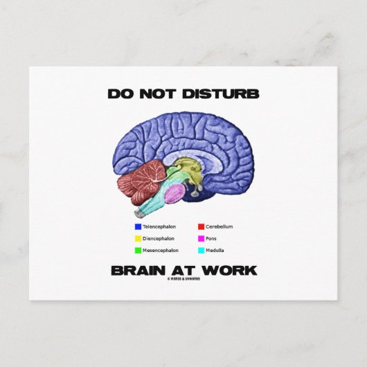 Brain op het werk niet storen (anatomische Humor) Briefkaart (Voorkant)