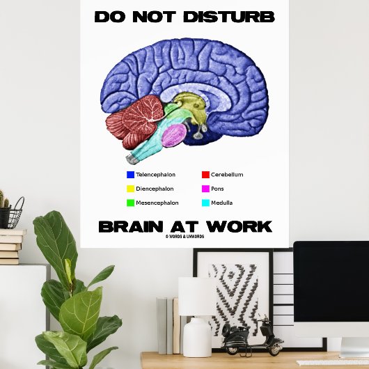 Brain op het werk niet storen (anatomische Humor) Poster (Thuiskantoor)