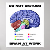 Brain op het werk niet storen (anatomische Humor) Poster (Voorkant)