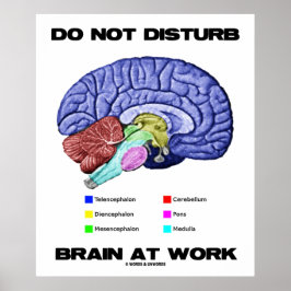 Brain op het werk niet storen (anatomische Humor) Poster