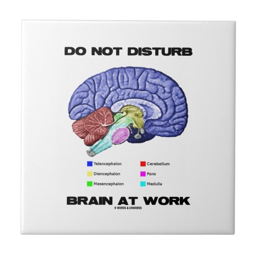 Brain op het werk niet storen (anatomische Humor) Tegeltje (Voorkant)
