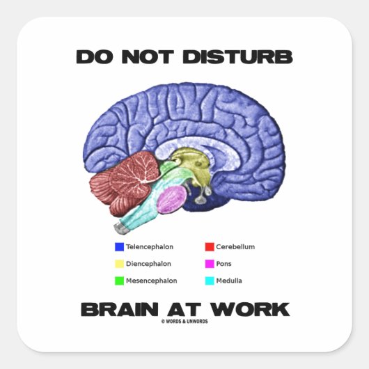 Brain op het werk niet storen (anatomische Humor) Vierkante Sticker (Voorkant)