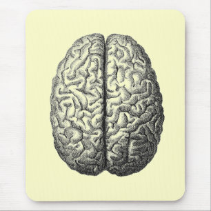 Brain Pad Muismat