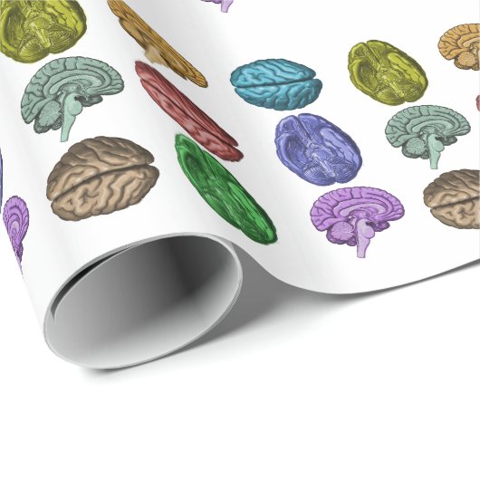 Brain Paper 4 Cadeaupapier (Rol Hoek)