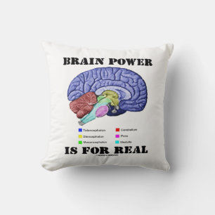 Brain Power is voor de anatomische stand van de ec Kussen