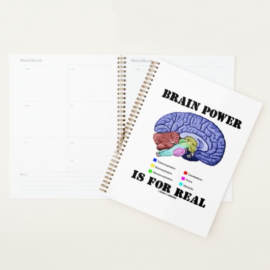 Brain Power is voor de anatomische stand van de ec Planner (Display)