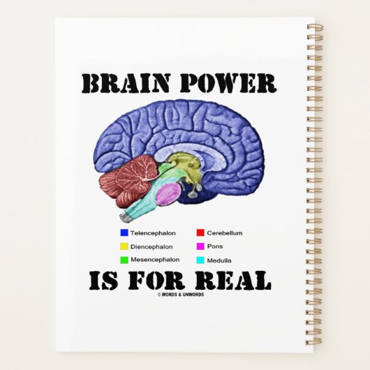 Brain Power is voor de anatomische stand van de ec Planner (Achterkant)
