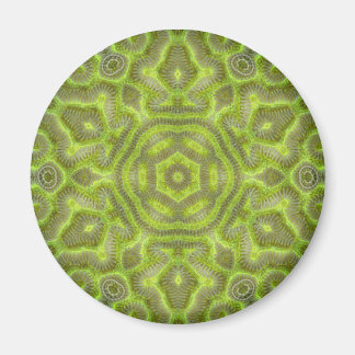 Brain Star Trilobite Magneet