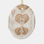Brain Three - Neuroanatomie Keramisch Ornament (Rechts)