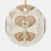 Brain Three - Neuroanatomie Keramisch Ornament (Voorkant)