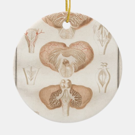Brain Three - Neuroanatomie Keramisch Ornament (Voorkant)