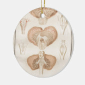 Brain Three - Neuroanatomie Keramisch Ornament (Links)