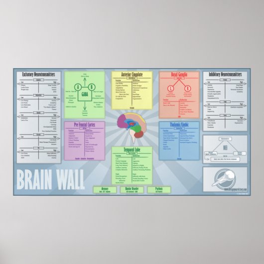 Brain Wall Poster (Voorkant)