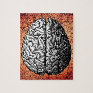 BRAINDRAWING LEGPUZZEL