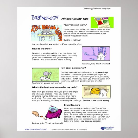 Brainology® Poster 1: indsettips (Voorkant)