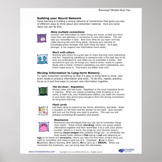 Brainology® Poster 6: Building Your Neural Network (Voorkant)