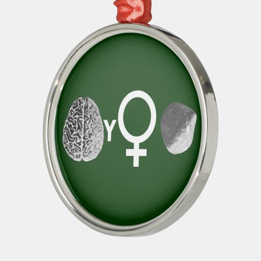Brainy Girls Rock! Metalen Ornament (Links)