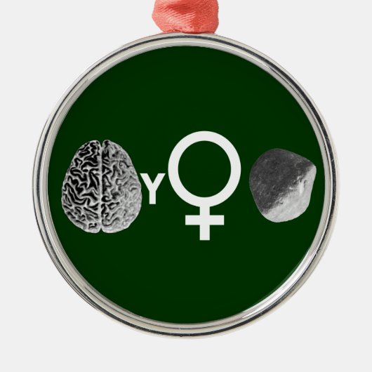 Brainy Girls Rock! Metalen Ornament (Voorkant)