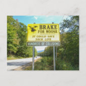Brake for Moose Kancamagus Highway New Hampshire Briefkaart (Voorkant)