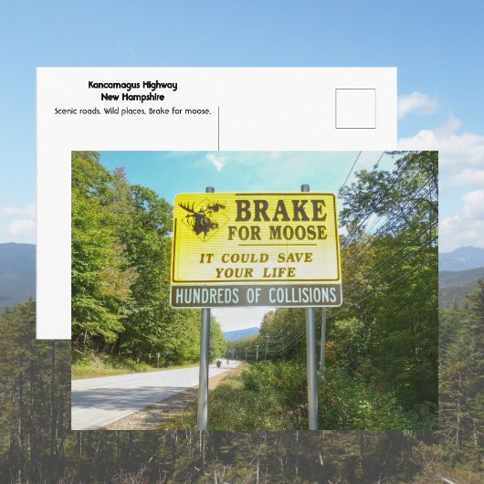 Brake for Moose Kancamagus Highway New Hampshire Briefkaart