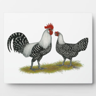 Brakel Chickens Fotoplaat