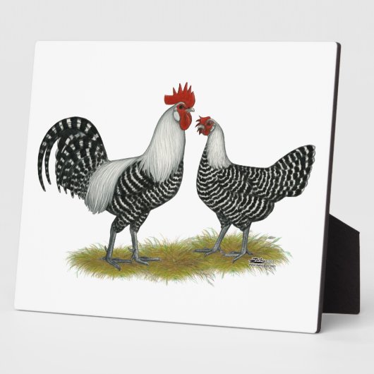 Brakel Chickens Fotoplaat (Zijkant)