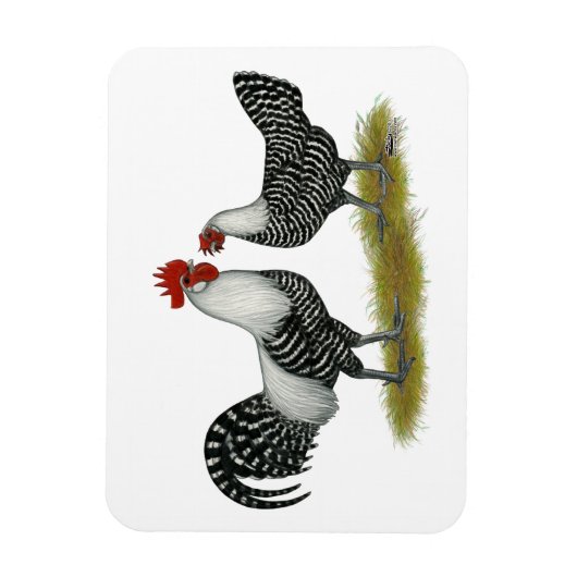 Brakel Chickens Magneet (Verticaal)