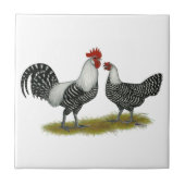 Brakel Chickens Tegeltje (Voorkant)