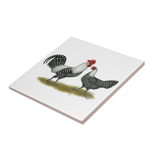 Brakel Chickens Tegeltje (Zijkant)