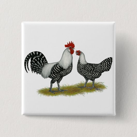Brakel Chickens Vierkante Button 5,1 Cm (Voorkant)