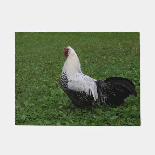 Brakel Hahn Deurmat (Voorkant)