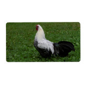 Brakel Hahn Etiket (Voorkant)