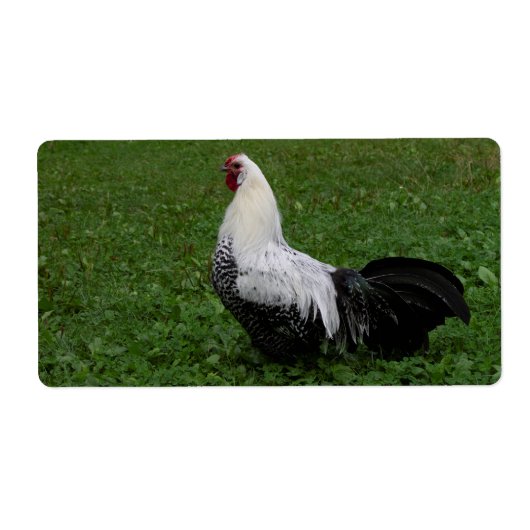 Brakel Hahn Etiket (Voorkant)