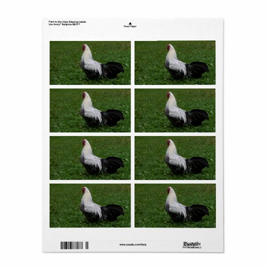 Brakel Hahn Etiket (Full Sheet)