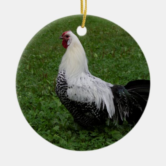 Brakel Hahn Keramisch Ornament (Voorkant)