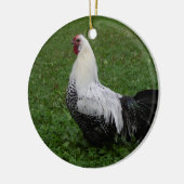 Brakel Hahn Keramisch Ornament (Links)