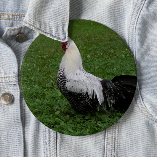 Brakel Hahn Ronde Button 6,0 Cm (In situ)