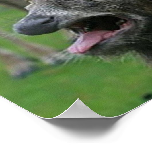 Braken hert: poster (Hoek)