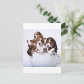 Brakken in Emmer Briefkaart (Staand voorkant)