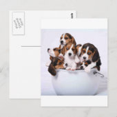 Brakken in Emmer Briefkaart (Voorkant / Achterkant)