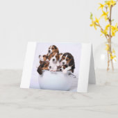 Brakken in Emmer Kaart (Gele Bloem)