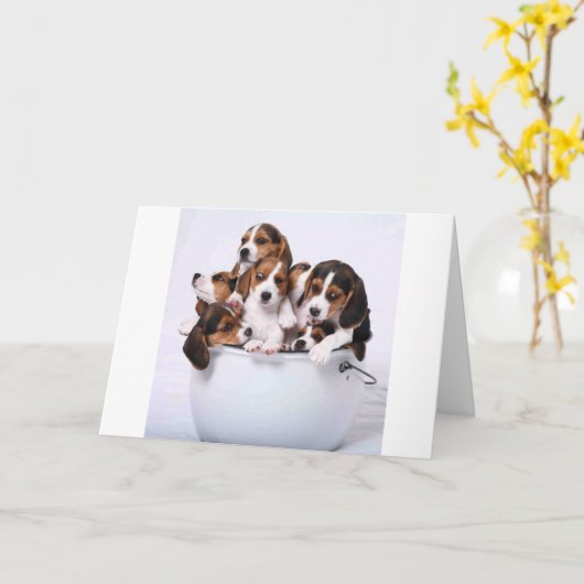 Brakken in Emmer Kaart (Gele Bloem)