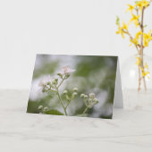 Bramble Berry close Kaart (Gele Bloem)
