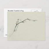 Bramble Tendrils in de mist - Minimalisme Briefkaart (Voorkant / Achterkant)