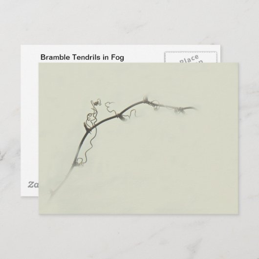 Bramble Tendrils in de mist - Minimalisme Briefkaart (Voorkant / Achterkant)