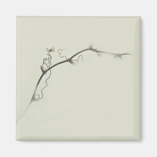 Bramble Tendrils in de mist - Minimalisme Magneet (Voorkant)