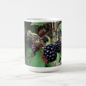 Brambles Mok (Center)