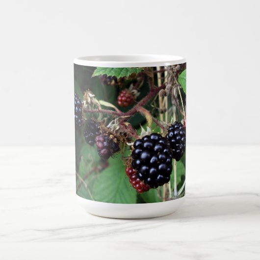 Brambles Mok (Center)